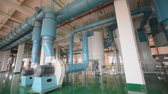 長城專訪丨蛙牌 為寵物帶去健康，為寵物主人帶來安心——專訪蛙牌軟件開發團隊