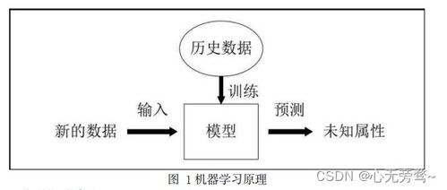 人工智能入門基礎(chǔ)概念 正確開啟AI世界的大門與基礎(chǔ)軟件開發(fā)